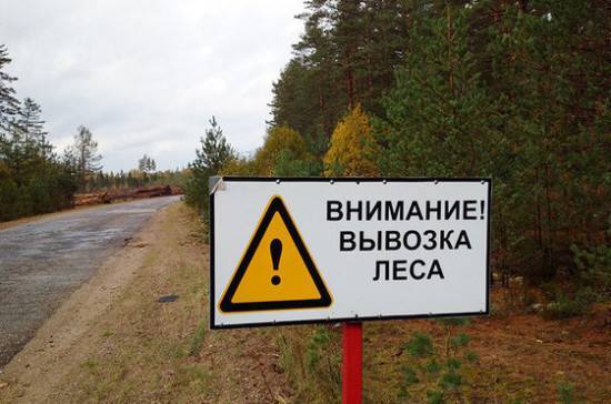 Алексей Майоров - Власти регионов должны следить за целевым использованием дров гражданами, считает сенатор - pnp.ru