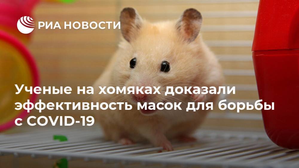 Ученые на хомяках доказали эффективность масок для борьбы с COVID-19 - ria.ru - Москва - Китай - Гонконг