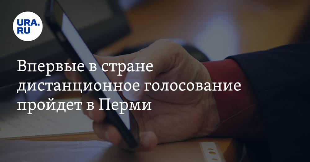 Екатерина Сычкова - Дмитрий Махонин - Впервые в стране дистанционное голосование пройдет в Перми - ura.news - Пермь - Пермский край