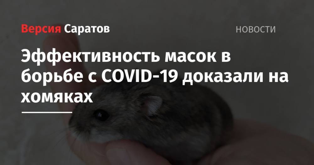 Эффективность масок в борьбе с COVID-19 доказали на хомяках - nversia.ru - Китай - Гонконг