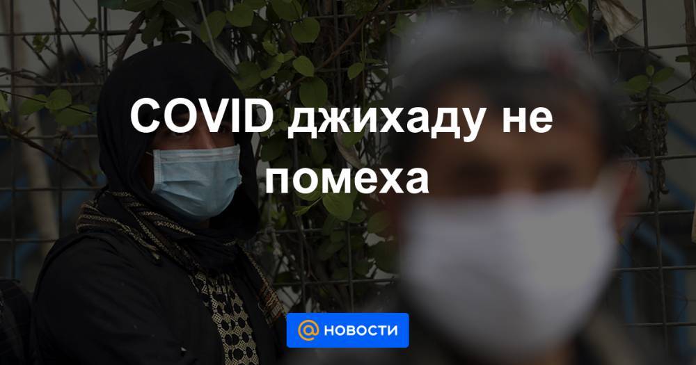 Андрей Серенко - COVID джихаду не помеха - news.mail.ru - Россия