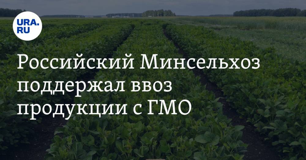Михаил Мишустин - Российский Минсельхоз поддержал ввоз продукции с ГМО - ura.news - Россия - Белгородская обл. - Курская обл. - Липецкая обл.