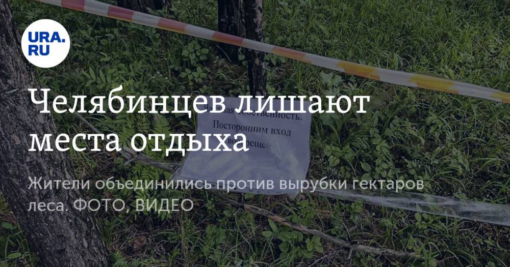 Челябинцев лишают места отдыха. Жители объединились против вырубки гектаров леса. ФОТО, ВИДЕО - ura.news - Челябинск