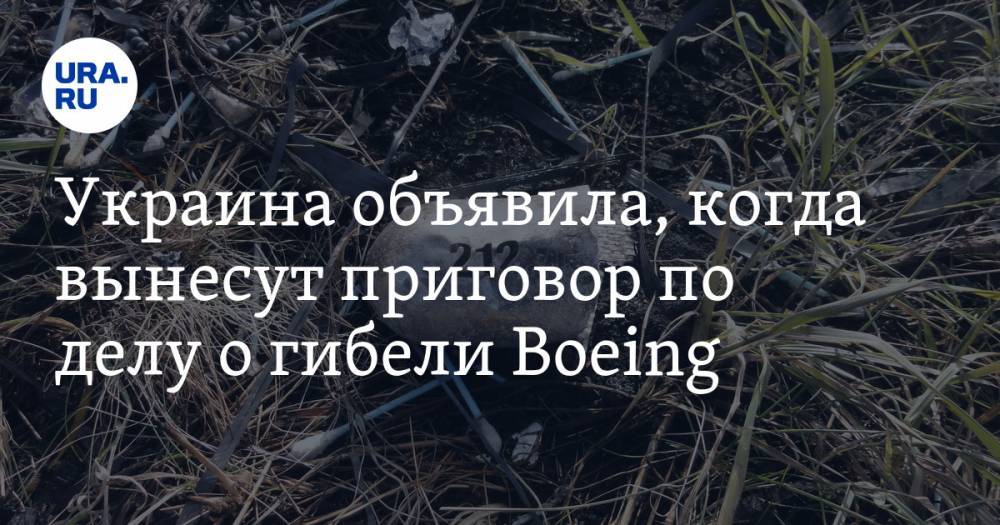 Евгений Енин - Украина объявила, когда вынесут приговор по делу о гибели Boeing - ura.news - Украина - Бельгия - Австралия - Голландия - Малайзия