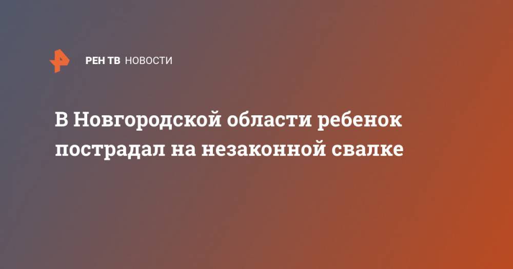 В Новгородской области ребенок пострадал на незаконной свалке - ren.tv - Новгородская обл. - район Холмский - Холм