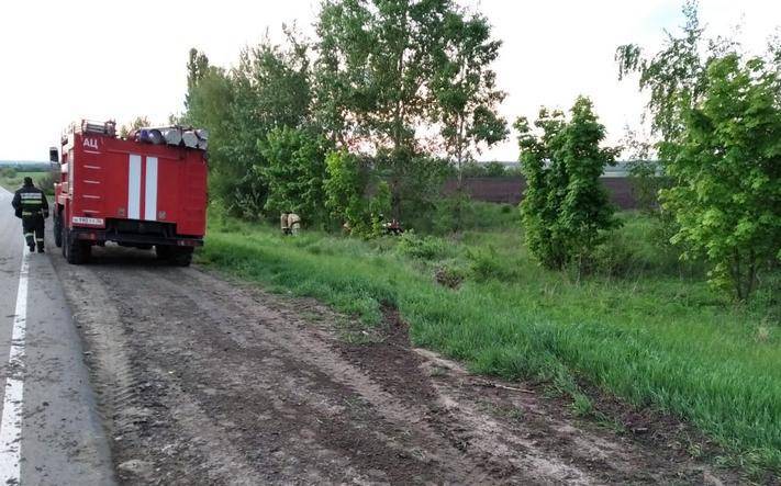 В Воронежской области «Фольксваген» вылетел в кювет — пострадали трое детей - moe-online.ru - Воронеж - Воронежская обл. - Луганск