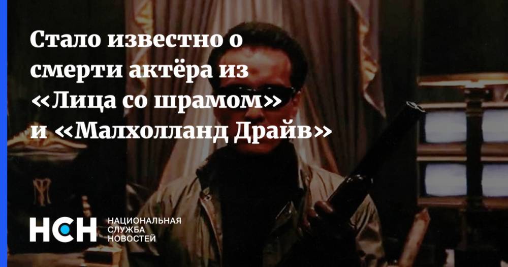 Стало известно о смерти актёра из «Лица со шрамом» и «Малхолланд Драйв» - nsn.fm - Лос-Анджелес - штат Монтана