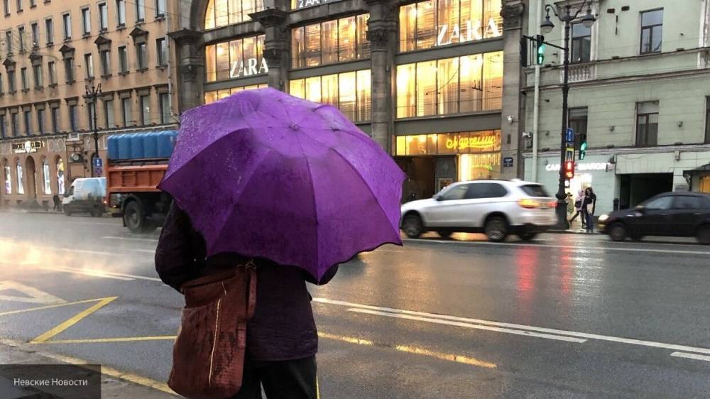 Синоптики пообещали жителям Петербурга дожди и прохладную погоду 18 мая - inforeactor.ru - Петербурга