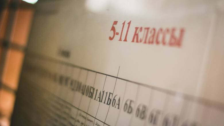 Нейропсихологи не сочли дистанционное обучение равноценным обычному - newizv.ru
