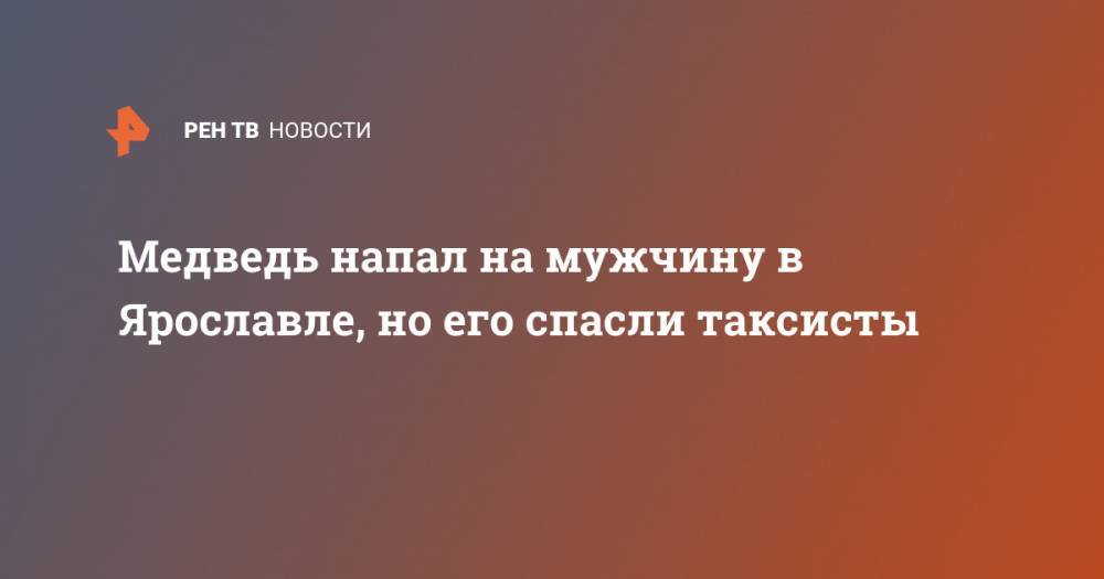 Медведь напал на мужчину в Ярославле, но его спасли таксисты - ren.tv - Ярославская обл. - Ярославль