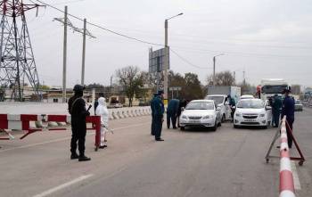 В Узбекистане выявлено 17 новых случаев заражения коронавирусом. Общее число инфицированных достигло 2779 - podrobno.uz - Узбекистан - Ташкент