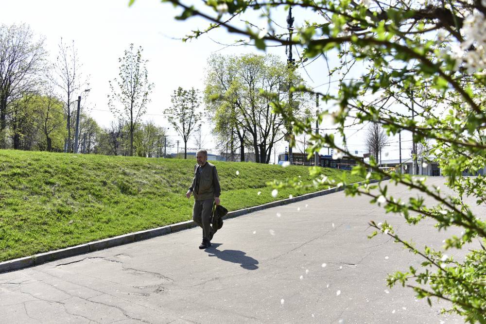 Жителей столицы предупредили об усилении ветра - vm.ru - Москва