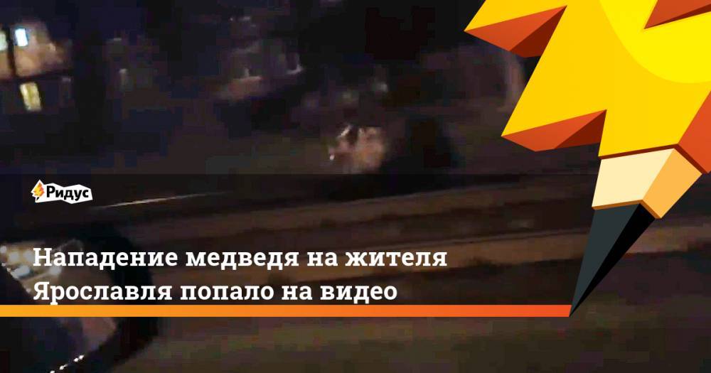 Нападение медведя нажителя Ярославля попало навидео - ridus.ru - Ярославль
