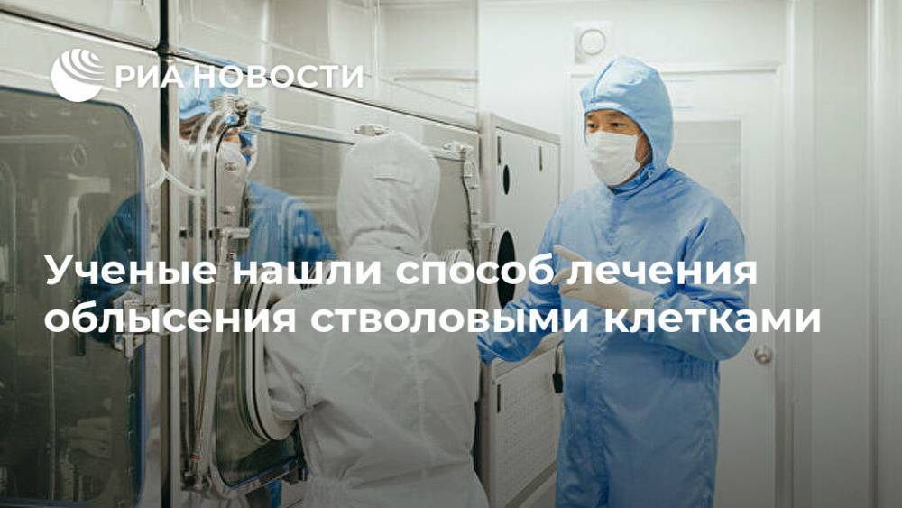Ученые нашли способ лечения облысения стволовыми клетками - ria.ru - Москва