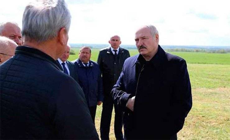 Александр Лукашенко - Владимир Андрейченко - Николай Лукашенко - Коля Лукашенко вместо школы слетал с отцом на ферму — фото - gomel.today
