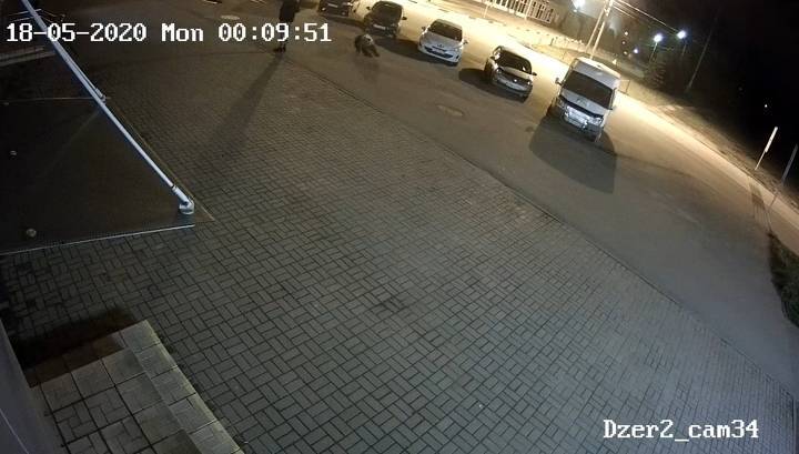 Жители Ярославля сняли на видео нападение медвежонка на прохожего - vesti.ru - Ярославль