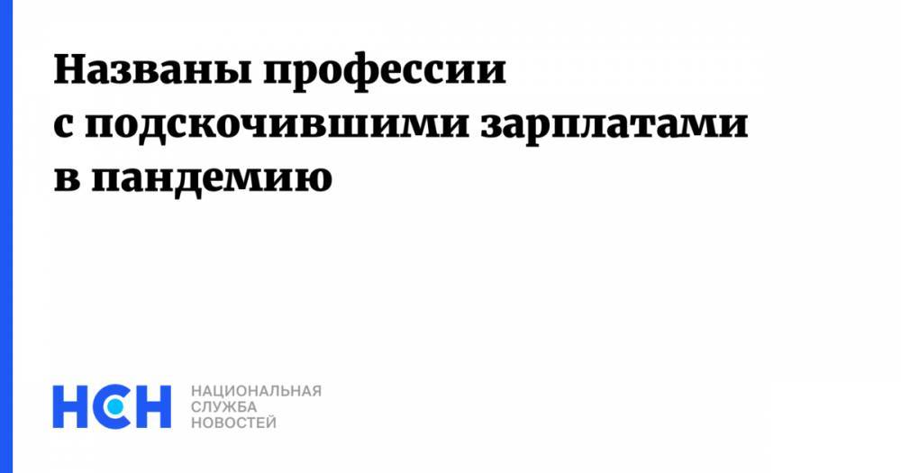 Названы профессии с подскочившими зарплатами в пандемию - nsn.fm - Россия