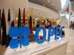 Стоимость нефти подскочила на 8-10% - newsland.com - Лондон