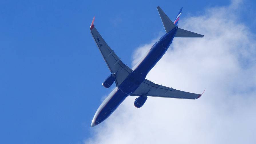 Red Wings - «Аэрофлоту» выделено 7,9 млрд рублей субсидий - gazeta.ru - Россия