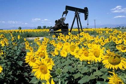 Саудовская Аравия потеснила российскую нефть на рынке в Европе - lenta.ru - Саудовская Аравия