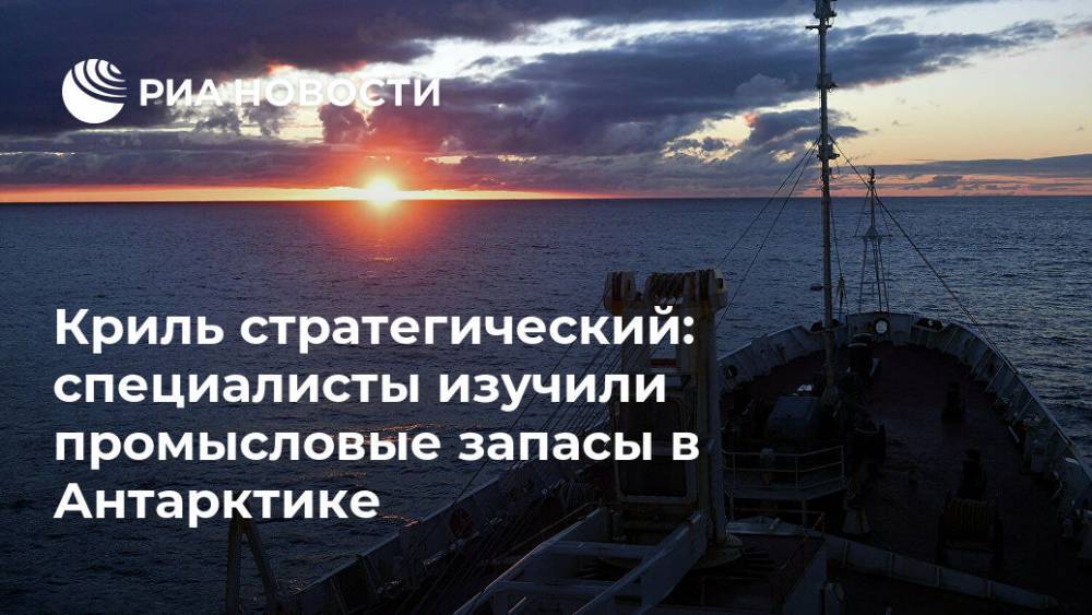 Криль стратегический: специалисты изучили промысловые запасы в Антарктике - ria.ru - Москва - Россия