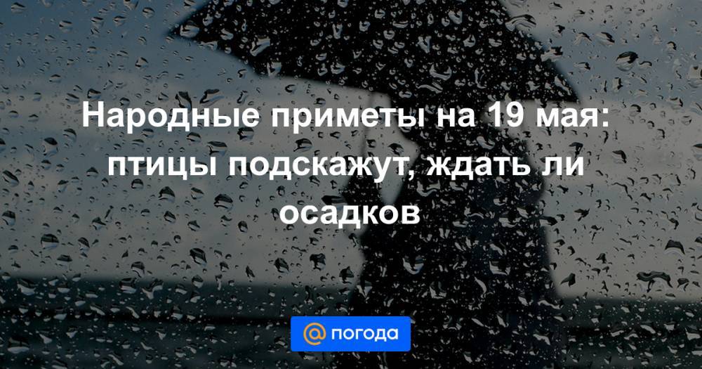 Екатерина Гура - Народные приметы на 19 мая: птицы подскажут, ждать ли осадков - news.mail.ru