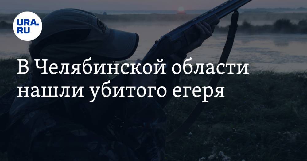 В Челябинской области нашли убитого егеря - ura.news - Челябинская обл.