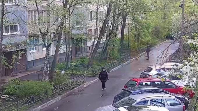 Кража мобильного телефона на Дыбенко попала на видео - piter.tv - Таджикистан