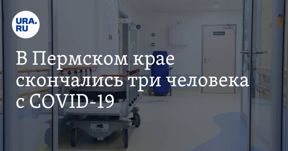В Пермском крае скончались три человека с COVID-19 - ura.news - Пермский край
