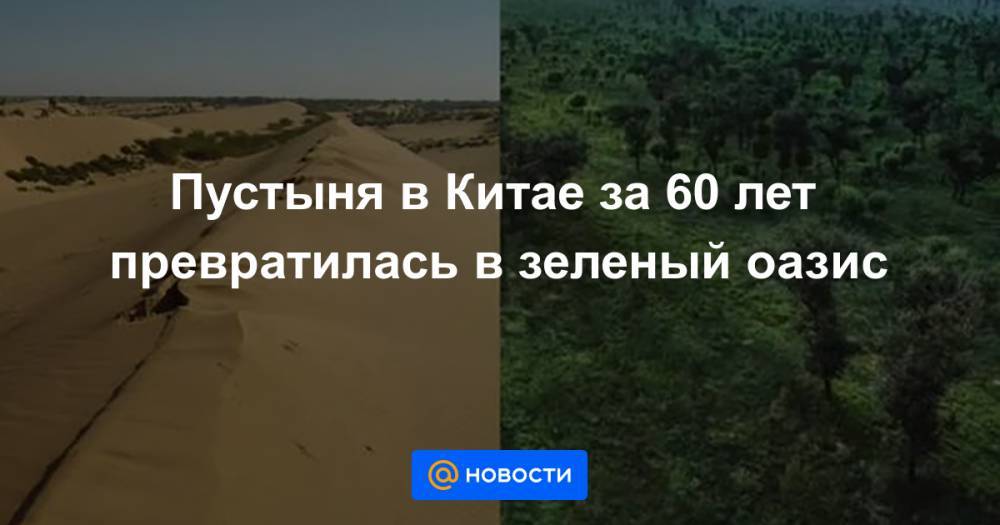 Пустыня в Китае за 60 лет превратилась в зеленый оазис - news.mail.ru - Китай - район Внутренняя Монголия