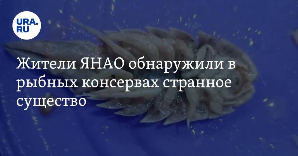 Жители ЯНАО обнаружили в рыбных консервах странное существо. ФОТО, ВИДЕО - ura.news - Ноябрьск - окр. Янао