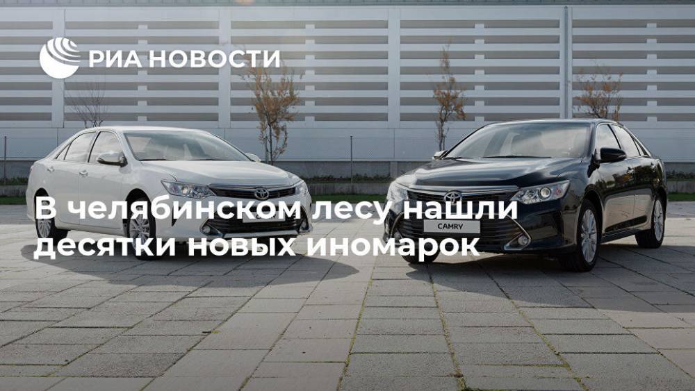 Toyota Camry - В челябинском лесу нашли десятки новых иномарок - ria.ru - Москва - Челябинск