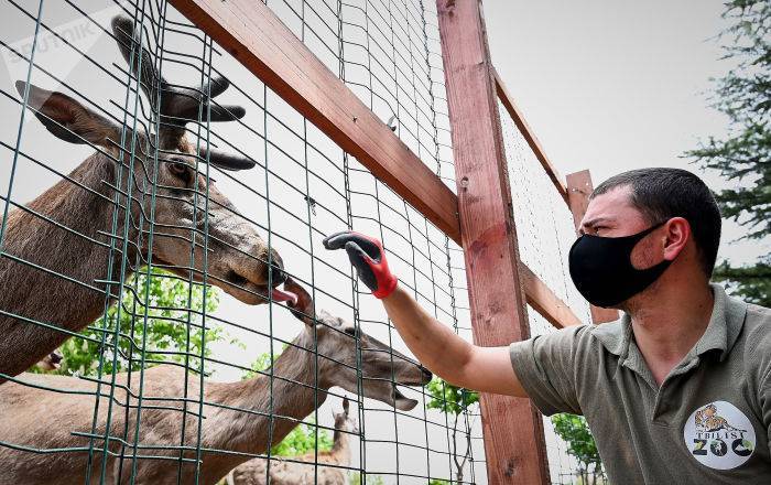 Конец карантину: тбилисский зоопарк открыт для посетителей - sputnik-georgia.ru - Нью-Йорк - Тбилиси