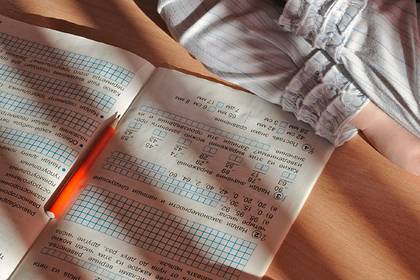 Ирина Каклюгина - В Подмосковье отобрали участников программы «Земский учитель» - lenta.ru - Московская обл.