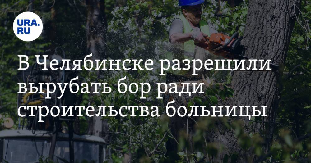 Александр Егоров - В Челябинске разрешили вырубать бор ради строительства больницы - ura.news - Челябинск