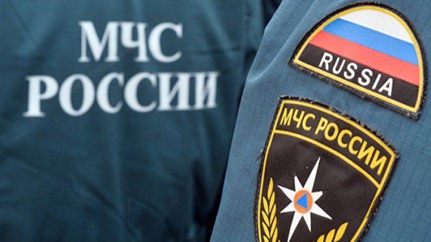 Пропавшего четырехлетнего мальчика нашли в Кировской области - 5-tv.ru - Россия - Кировская обл.