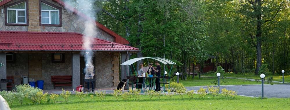 Коронавирусный отдых: турбазы в Ленобласти заняли место итальянских вилл - dp.ru - Ленинградская обл.