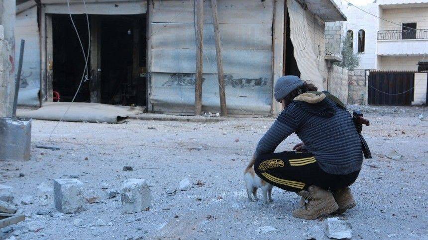 Станислав Григорьев - Бывший полевой командир рассказал, кому выгодно затягивание конфликта в Сирии - 5-tv.ru - Сирия - Дамаск