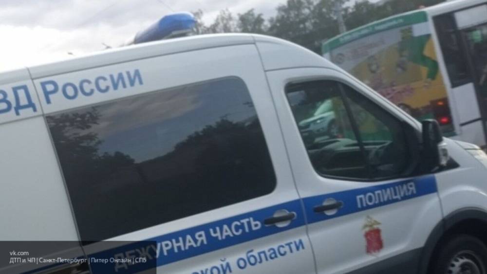 Правоохранители обнаружили избитого до смерти мужчину в квартире в Петербурге - nation-news.ru - Петербурга - район Северной