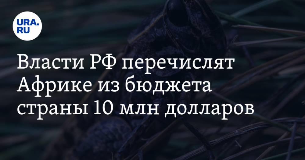 Михаил Мишустин - Власти РФ перечислят Африке из бюджета страны 10 млн долларов - ura.news - Россия - США - Кения - Эфиопия - Уганда - Южный Судан