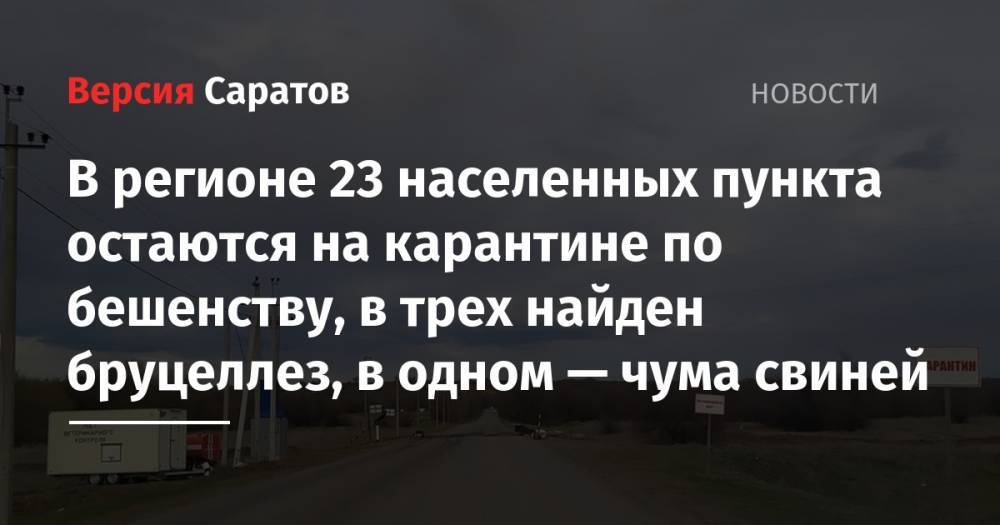 В регионе 23 населенных пункта остаются на карантине по бешенству, в трех найден бруцеллез, в одном — чума свиней - nversia.ru - Саратовская обл. - Саратов - Красноармейск - район Калининский