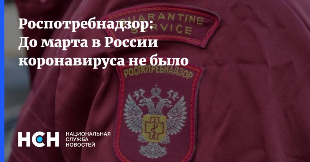 Анна Попова - Роспотребнадзор: До марта в России коронавируса не было - nsn.fm - Россия