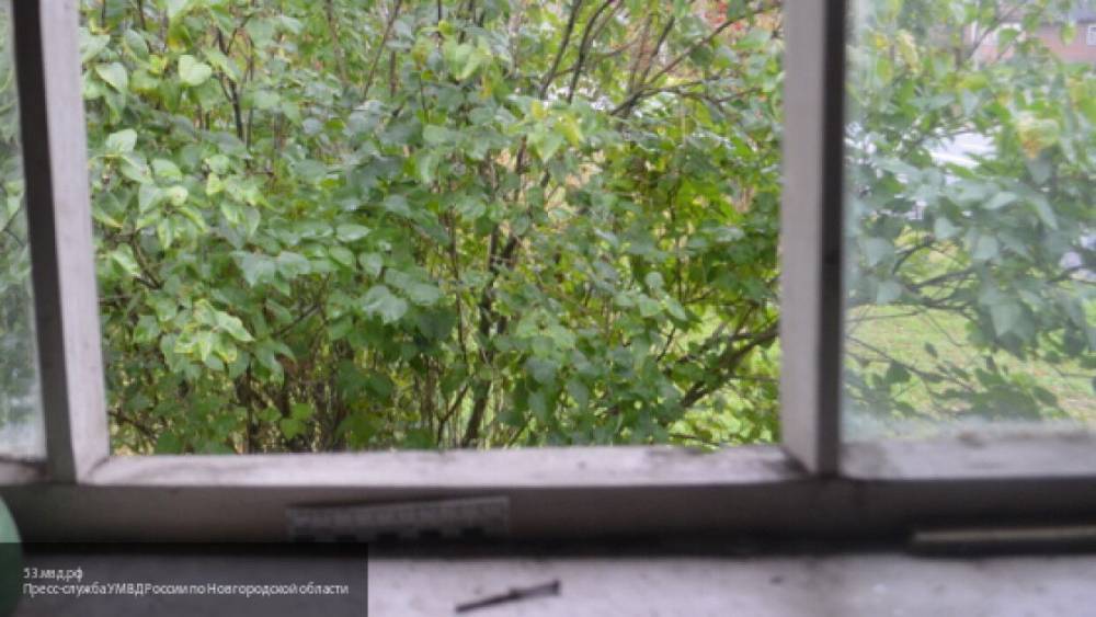 Владислава Грин - Неосторожность родителей привела к падению двухлетнего ребенка из окна в Иркутске - nation-news.ru - Иркутск - район Ленинский
