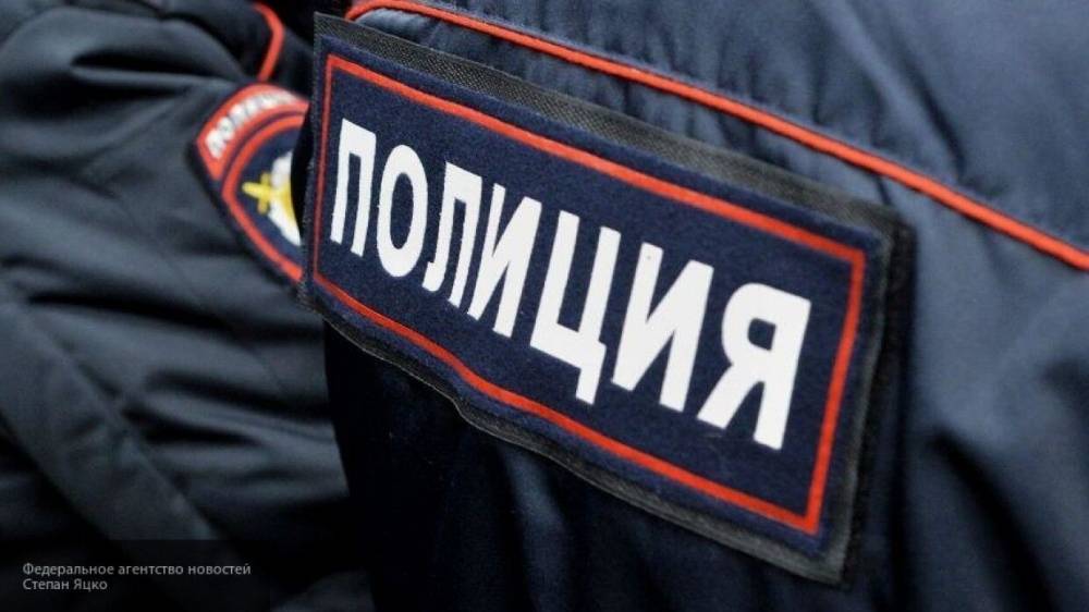 Владислава Грин - Полицейские обнаружили два мужских трупа в Москве-реке - nation-news.ru - Москва