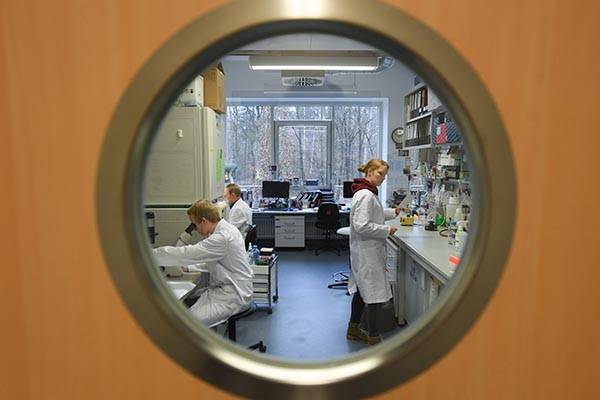 Сингапурские ученые изменили прогноз по окончанию эпидемии в России - trud.ru - Россия - Сингапур