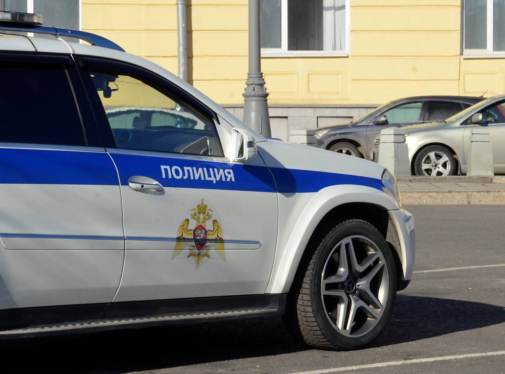 При проверке документов москвич применил насилие в отношении полицейского - vm.ru - Москва - Россия
