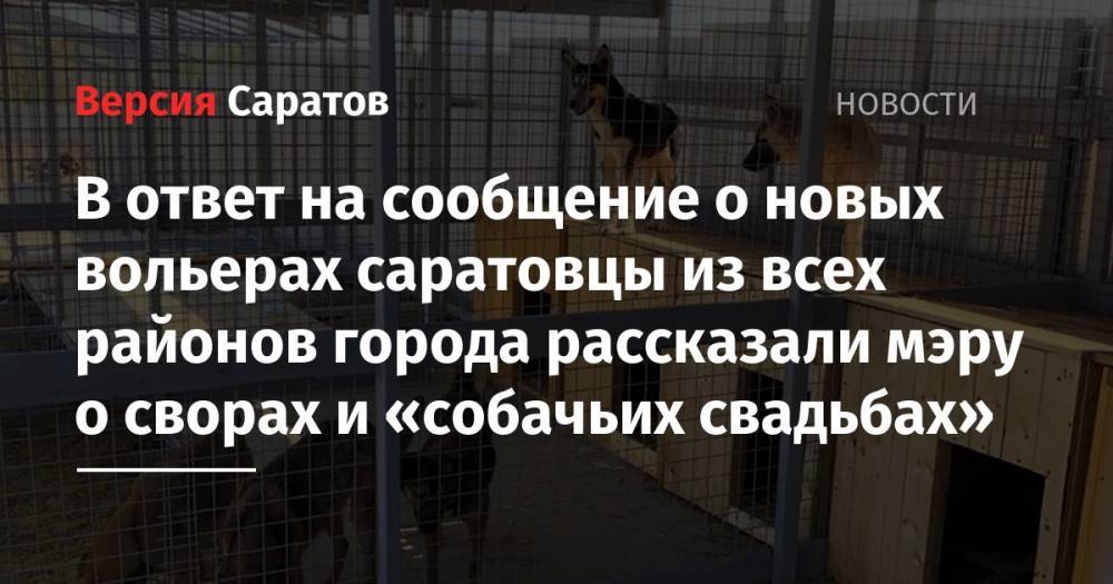 Михаил Исаев - В ответ на сообщение о новых вольерах саратовцы из всех районов города рассказали мэру о сворах и «собачьих свадьбах» - nversia.ru - район Заводский