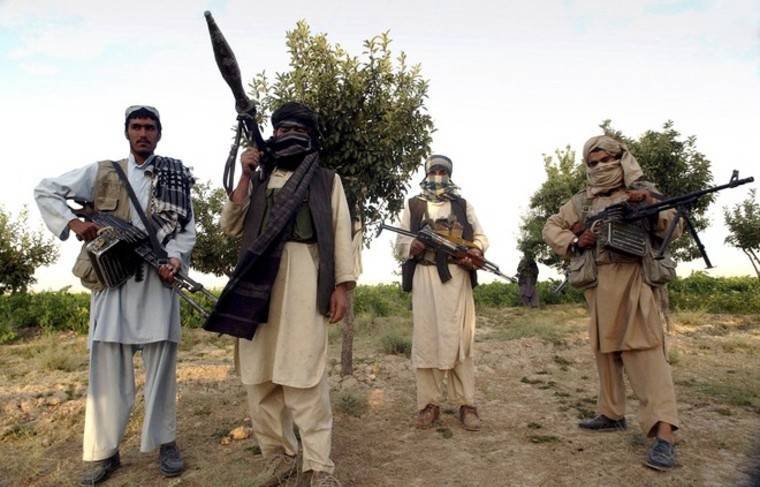 Мохаммад Сохаил - Афганские власти освободили еще одну группу заключенных талибов - news.ru - Афганистан - Талибан