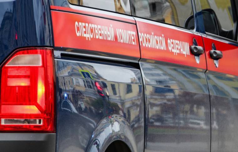 Тело пропавшей полгода назад школьницы найдено в Тюмени - news.ru - Екатеринбург - Тюмень