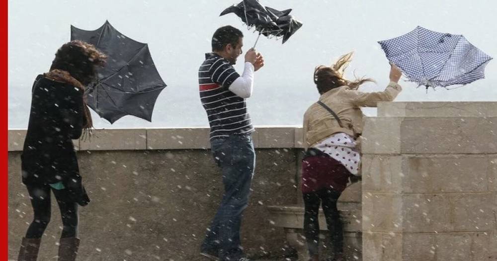 20 мая в Москве потеплеет до +15°С, будет ветренно - profile.ru - Москва - Московская обл.